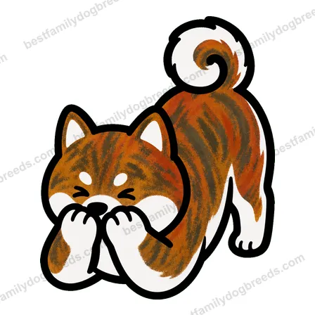 Akita sticker 4