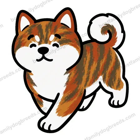 Akita dog meme sticker preview
