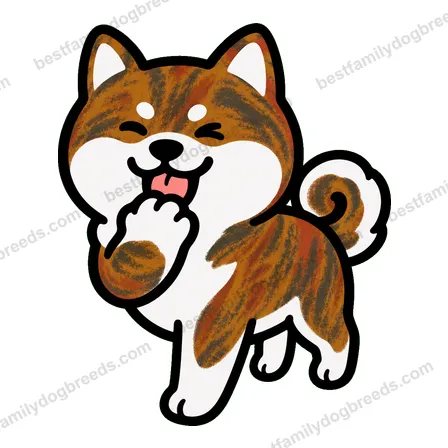 Akita sticker 16