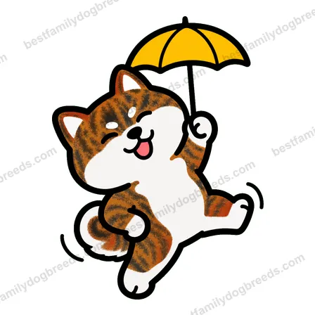 Akita dog meme sticker preview