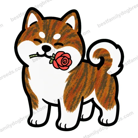 Akita sticker 22