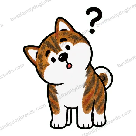 Akita dog meme sticker preview