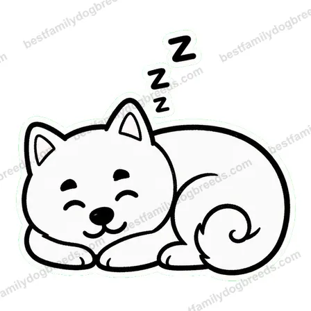 Akita dog meme sticker preview