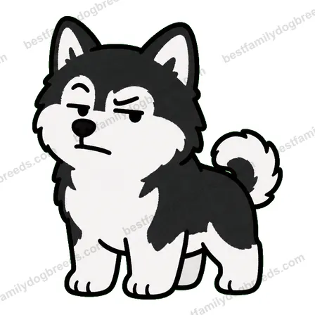 Alaskan Malamute sticker 33