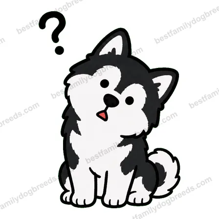 Alaskan Malamute dog meme sticker preview