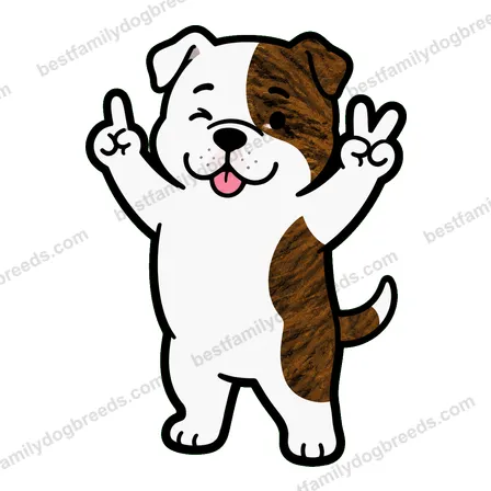 American Bulldog sticker 12