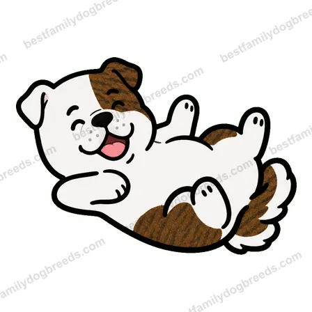American Bulldog dog meme sticker preview