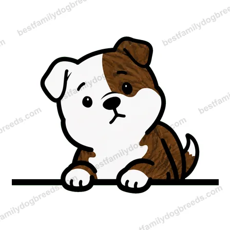 American Bulldog sticker 17
