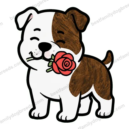 American Bulldog sticker 22