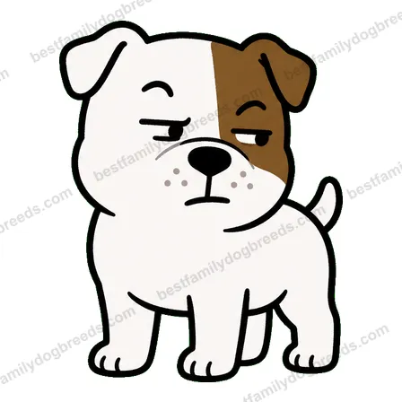 American Bulldog sticker 33