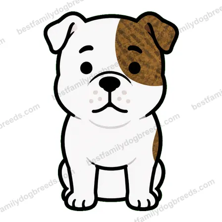 American Bulldog dog staring meme sticker