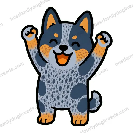 Australian Cattle Dog sticker 2