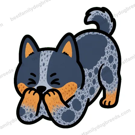 Australian Cattle Dog cute dog meme sticker