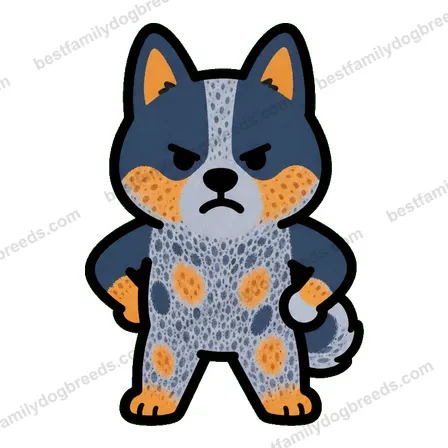 Australian Cattle Dog sticker 9