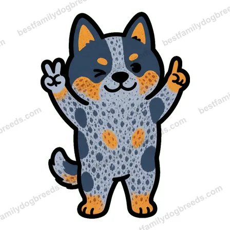 Australian Cattle Dog sticker 12