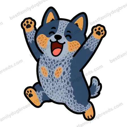Australian Cattle Dog sticker 13