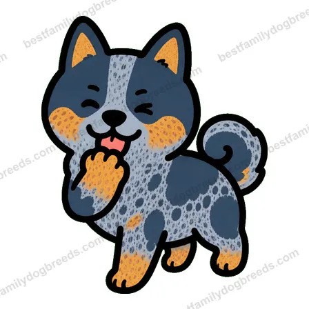 Australian Cattle Dog sticker 16
