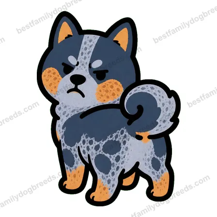 Australian Cattle Dog dog meme sticker preview