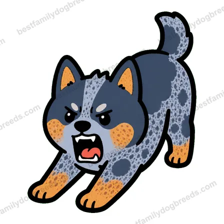 Australian Cattle Dog sticker 30