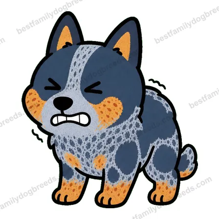 Australian Cattle Dog dog meme sticker preview