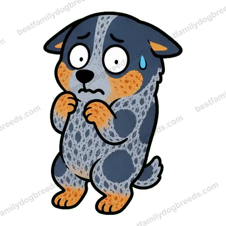 Australian Cattle Dog dog meme sticker preview