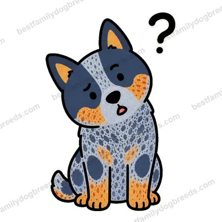 Australian Cattle Dog dog meme sticker preview