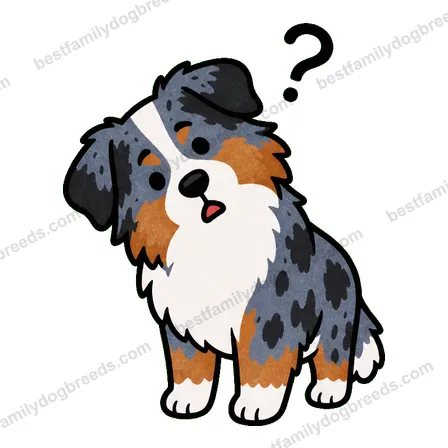 Australian Shepherd dog meme sticker preview
