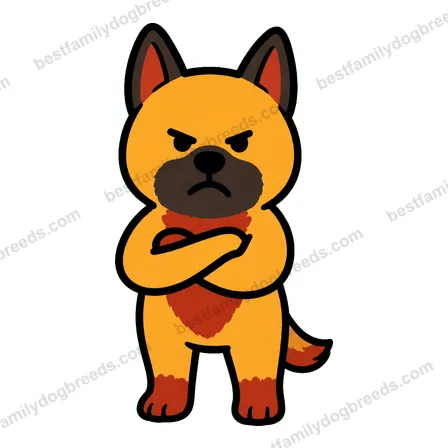 Belgian Malinois sticker 7