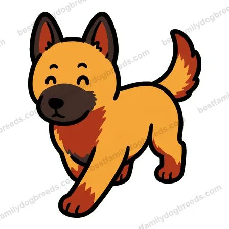 Belgian Malinois dog meme sticker preview