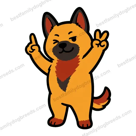 Belgian Malinois sticker 12