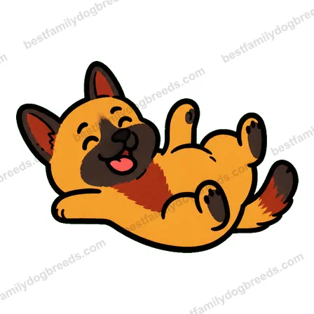 Belgian Malinois dog meme sticker preview