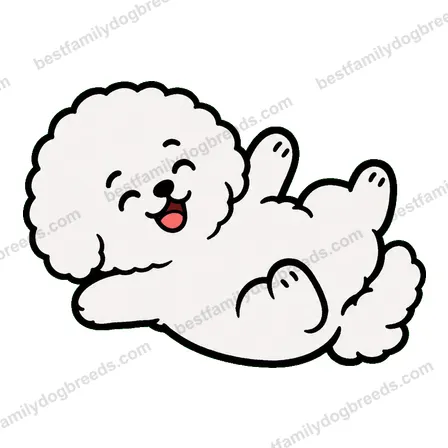 Bichon Frise dog meme sticker preview