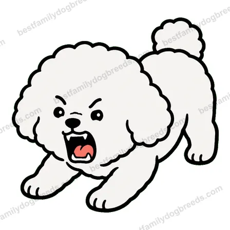 Bichon Frise sticker 30