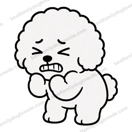 Bichon Frise dog meme sticker preview