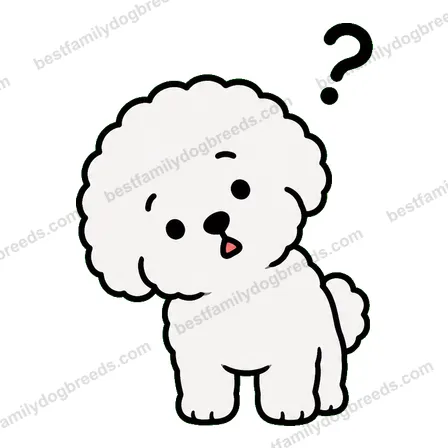 Bichon Frise dog meme sticker preview