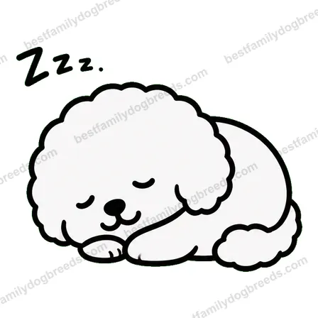 Bichon Frise dog meme sticker preview