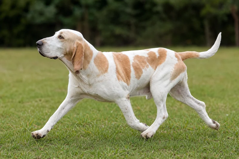 Billy — running