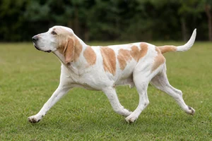 Billy — running