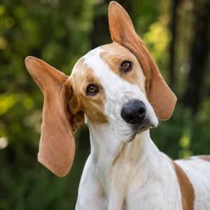 Billy — alert