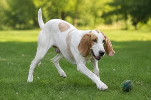 Billy — playing