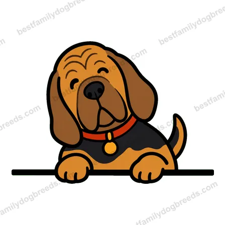 Bloodhound sticker 17