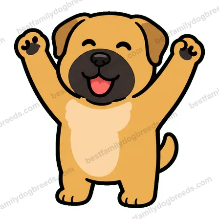 Boerboel sticker 2