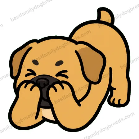 Boerboel cute dog meme sticker