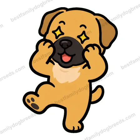 Boerboel dog meme sticker preview