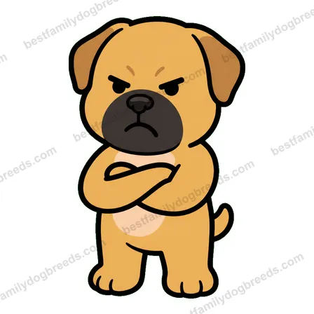Boerboel sticker 7