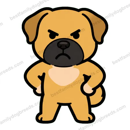 Boerboel sticker 9