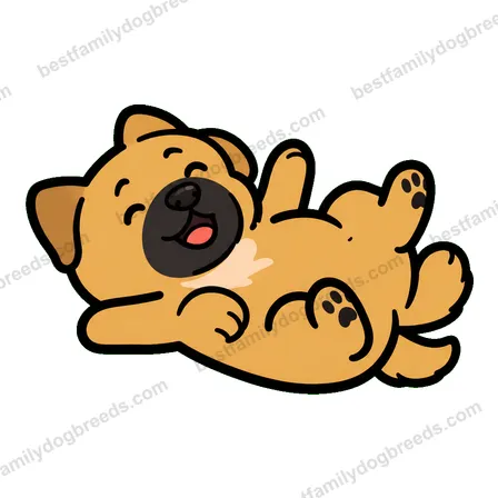 Boerboel dog meme sticker preview