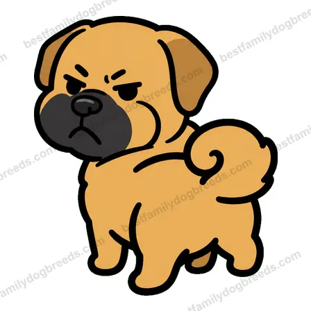 Boerboel dog meme sticker preview