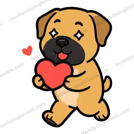 Boerboel sticker 28
