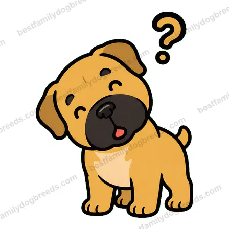 Boerboel dog meme sticker preview